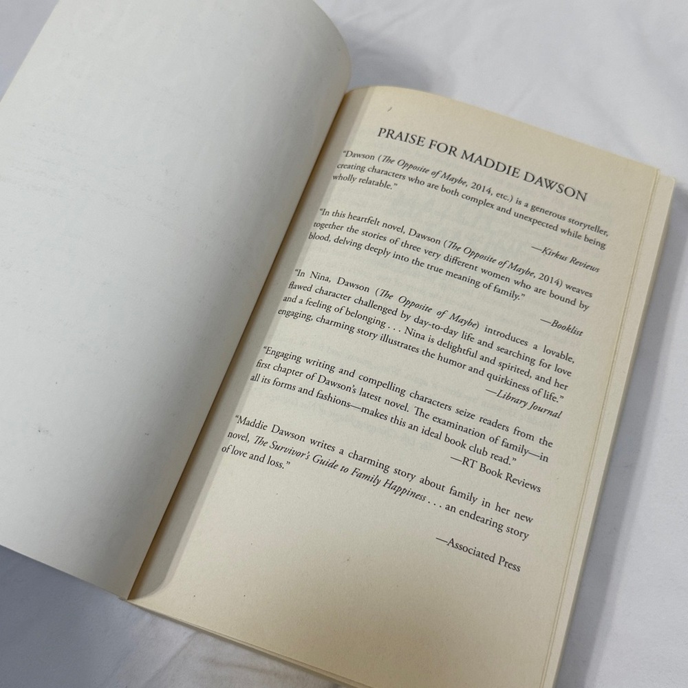 “Matchmaking for Beginners” Paperback Romance Novel by Maddie Dawson - Picture 9 of 11